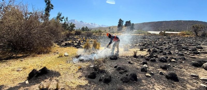 Arequipa registra nueve incendios forestales en un fin de semana y supera las 5.000 hectáreas afectadas