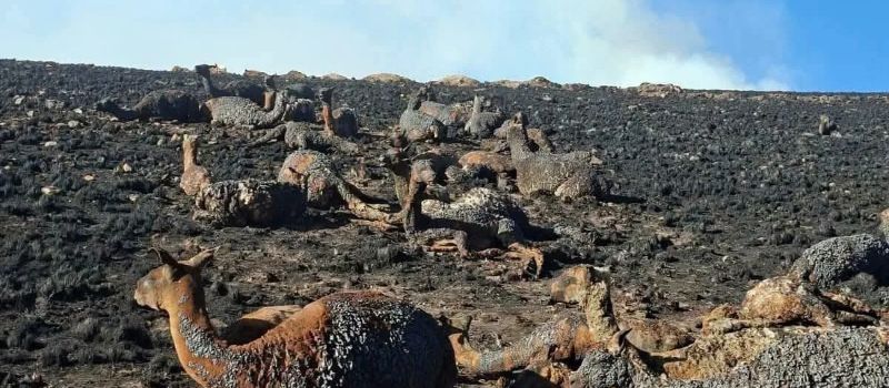 SENAMHI emite alerta roja por incendios forestales en nueve regiones del Perú