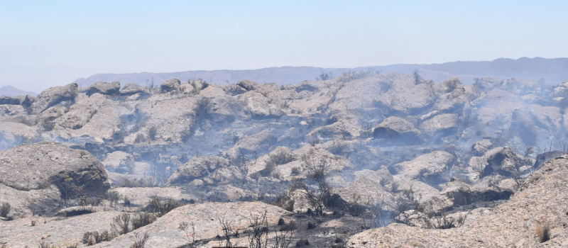 Arequipa: incendio forestal fue liquidado tras afectar 70 hectáreas en Chuquibamba