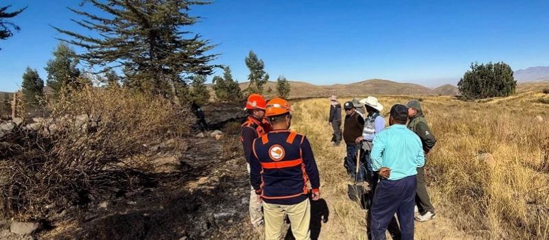 Arequipa registra nueve incendios forestales en un fin de semana y supera las 5.000 hectáreas afectadas
