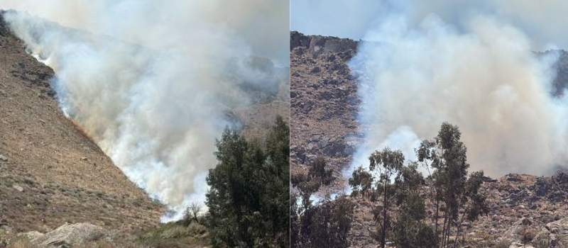 Arequipa: Incendio forestal continúa activo en Chuquibamba y afecta pastos naturales en zona La Rinconada