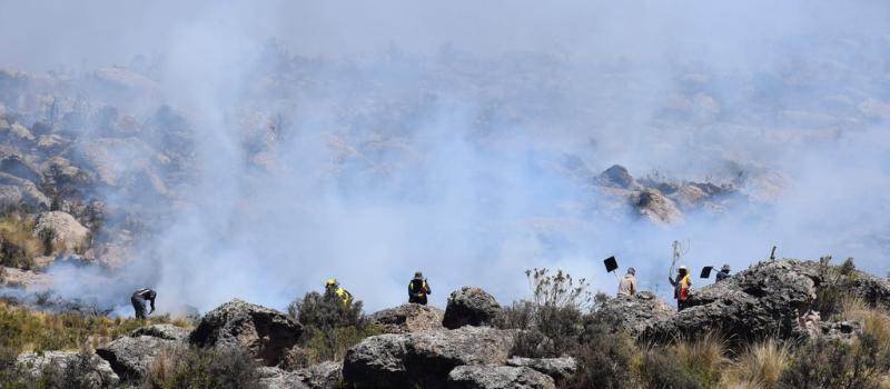 Arequipa: incendio forestal fue liquidado tras afectar 70 hectáreas en Chuquibamba